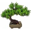 VIRSUS Bonsai Artificiale 84019, misura 26x23 cm, Pianta Finta in vaso, Pianta di Bonsai di Pino Giapponese, Piante per Decorazioni per hotel, uffiio, casa, esterno