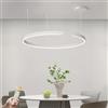 GaoHX Lampadario Anelli Lampada a Sospensione Rotondo LED Lampada Soggiorno Lampadario Dimmerabile Lampade Sospensione Moderne Tavolo Pranzo Lampada da Soffitto Acrilico Rotondo in Alluminio(White,60cm)