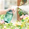 NONE Annaffiatoio da 500ml per Uso Domestico, Grande Capacità, Spruzzatore per Piante, Annaffiatoio per Semina Primaverile, Accessori da Giardinaggio