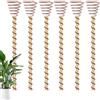 Generico Set di pali da giardino in rame - Pali per piante da 6 pezzi Bobina di filo da 30 cm | Supporto per la crescita di frutta e verdura nel patio | Decorazione riutilizzabile degli da giardino p