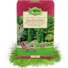HORTUSÌ VitaSana Semi per Prato Soleggiato - Tappeto Erboso Selezionato | Alta Resistenza alla Siccità, Colore Intenso e Crescita Regolare | Ideale per Zone Esposte al Sole | 1 kg per 50 m²