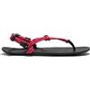 Xero Shoes Genesis Sandals EU 38 1/2