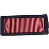 MTD PLUS Filtro Aria MTD PLUS per Zontes 125 G1 - MTD PLUS Ricambi
