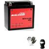 MOTO SPORT MONDO COMPATIBILE CON MOTO GUZZI V7 Stone E5 850 dal 2021 al 2021 BATTERIA IN GEL MALOSSI MTX14-BS GIA' PRONTA ALL'USO ATTIVA BATTERIE 12 AH AMPERE 12 VOLT PER MOTO SCOOTER