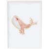 Crochetts Immagine Crochetts Colorato Legno MDF 33 x 43 x 2 cm Wal