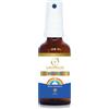 Logosolar REGIUS LOZIONE CAVO ORALE 50 ML