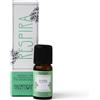 Herbal Products SINERGIA CON OLII ESSENZIALI RESPIRA 10ML