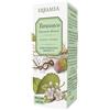 Erbamea TARASSACO ESTRATTO IDROALCOLICO 50 ML