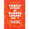 Pitagora Esercizi svolti di algebra lineare (Vol. 1)