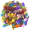 Ehuihuan 100 Pezzi Piume Decorative, Piume di Fagiano Naturali Non Sbiadisce, Piume Colorate per Acchiappasogni, Maschera, Decorazione (A)