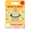 Burt's Bees Birthday Cake 4.25 g