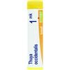 Boiron Thuya Occidentalis Granuli Omeopatici Monodose 1MK, 1g