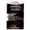 ZETA FARMACEUTICI SpA EUPH COLORPRO XD300 CAST S