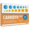 ALFASIGMA SpA CARNIDYN PLUS 20 Bustine