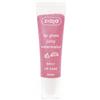 Ziaja Balsamo Labbra con Brillantini 0,012 l