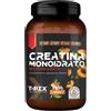 T-Rex Integratori Creatina Monoidrato Micronizzata polvere Pesca 250 g