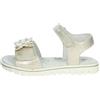 LUMBERJACK LARA SG41906-012 X58 M0619 GOLD WHITE (numeric_32)