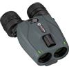Alpen Optics Binocolo Alpen Optics Apex Steady 16x30 HD con stabilizzatore