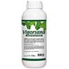 Vitaverde VIGORSANA, concime Liquido con Effetto pulente su Foglie di agrumi, Ornamentali, etc, lt. 1