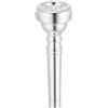 Vincent Bach bocchino per flicorno serie standard 342 modello 3C