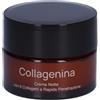 Labo International LABO Collagenina Crema Notte con 6 collageni a Rapida Penetrazione Grado 2