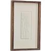 Loberon Grelita Quadro - Cornice in Caldo Legno d'abete - Delicati Motivi con Piante, Marrone/Bianco