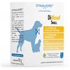 Dynamopet dimood small 20 bustine 2,5 gr