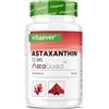 vit4ever Astaxantina 12 mg AstaGuard® - 90 Capsule Vegane | Alto dosaggio - Scorta per 6 Mesi - Oleoresina Premium da Haematococcus pluvialis