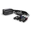 Palmer AoC Loom XLRf Audio over Cat - Cavo adattatore multicore da etherCON a 4 XLR femmina