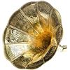 aubaho Horn grammofono tromba con ornamenti d'oro in stile antico