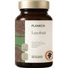 Plameca Laxofruit - Lassativo Naturale Delicato con Fico, Prugna, Kiwi e Magnesio - Regolarità Intestinale, Intestino Pigro e Stitichezza Occasionale - 30 Compresse