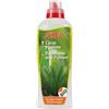 Sconosciuto Altea Cycas E Palme 1000g