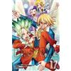 Riichiro Inagaki Dr. STONE, Vol. 17 (Tascabile) Dr. STONE