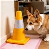 Generico WC per Cani Maschi, Ausilio di Addestramento All'Urina con Design A Pali Cilindrico, Dog Toilet Training, per Interno Esterno Appartamento Bagno Balcone Terrazza Giardino Prato