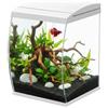 AQPET CurVe Acquario in Vetro Curvo 35L con Filtro Superiore Integrato e LED 6W - Acquario di Design da Scrivania con Pompa Inclusa e Coperchio per Distributore Automatico Mangime (Bianco)
