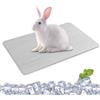 Tokaneit Tappetino Refrigerante per Coniglio,Tappetino di Raffreddamento per Criceti,Letto Estivo di Ghiaccio per Animali Domestici,Cuscinetto di Raffreddamento in Lega di Alluminio 30x20cm Tokaneit