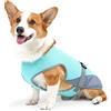 Jodsen Gilet Rinfrescante per Cani,Giubbotto di Raffreddamento per Cani,Cappotto Rinfrescante Cane per Cani di Taglia Media e Grande,Pettorina Rinfrescante Cane per Passeggiate,Caccia (Blu-L)