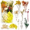 Slvoaujtk Fiori secchi Fiore Secchi Decorazione Fiori Secchi Naturali Fiori Secchi Fiori Secchi per Resina Epoxy Veri Fiori Spremuti Secchi per la Decorazione fai da te (Giallo)