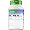 vit4ever Betaine HCL - 240 Capsule da 650 mg | Premium: Con pepsina e genziana amara - Enzimi digestivi a spettro completo - Dose elevata