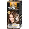 Diadem Black Head Diadem, set per capelli A1, colore marrone chiaro a medio, livello 3, confezione da 3 (3 x 22 ml)