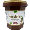 Zeus Party Nocciolato - Secchiello di crema Spalmabile al cacao e nocciole 2,5kg BIO