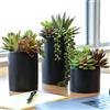 SEEKO Succulents Seeko, Set di 3 piante grasse artificiali in vaso di ceramica, realistiche e belle, assortite, per decorazione nera opaca, decorazione da scrivania, piante da ufficio e piante grasse (vaso nero)