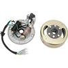 Akozon Statore Magneto, Kit Rotore Magneto Statore Rotore In Rame Alluminio Parti Del Motore per Calcio Inizio Motore PIT PRO PIT Bike auto per aramox magneto