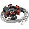 Generic STATORE ORIGINALE PIAGGIO FREE LIBERTY NRG QUARTZ SFERA ZIP 50 PIAGGIO -830294