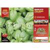 Orto Mio Piantine di Ortaggi in pack cubettato per la produzione famigliare disponibili in molte tipologie e varietà (Basilico classico Genovese 6 piante)