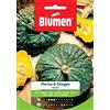 Blumen Zucca Marina di Chioggia