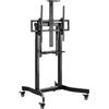 GEMBIRD Gembird Supporto mobile per TV regolabile in altezza da 55 a 100 pollici