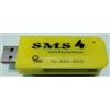 ★スピード6倍アップ ★NDS SMS4 (エスエムエス4) DSソフトからPCへセーブデータのバックアップ
