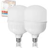 LED ATOMANT Confezione da 2 Lampadina LED E27 T120 50W, Colore Bianco Freddo (6500K), 5500 Lumen, Attacco spesso, Equivalente a 550W tradizionale