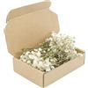 TLUVISL 150 Pezzi Gypsophila Essiccata Fiori Secchi Decorativi Bianchi Naturali Mini Fiori per Decorazioni Resina Gioielli Candele Artigianato e Nozze